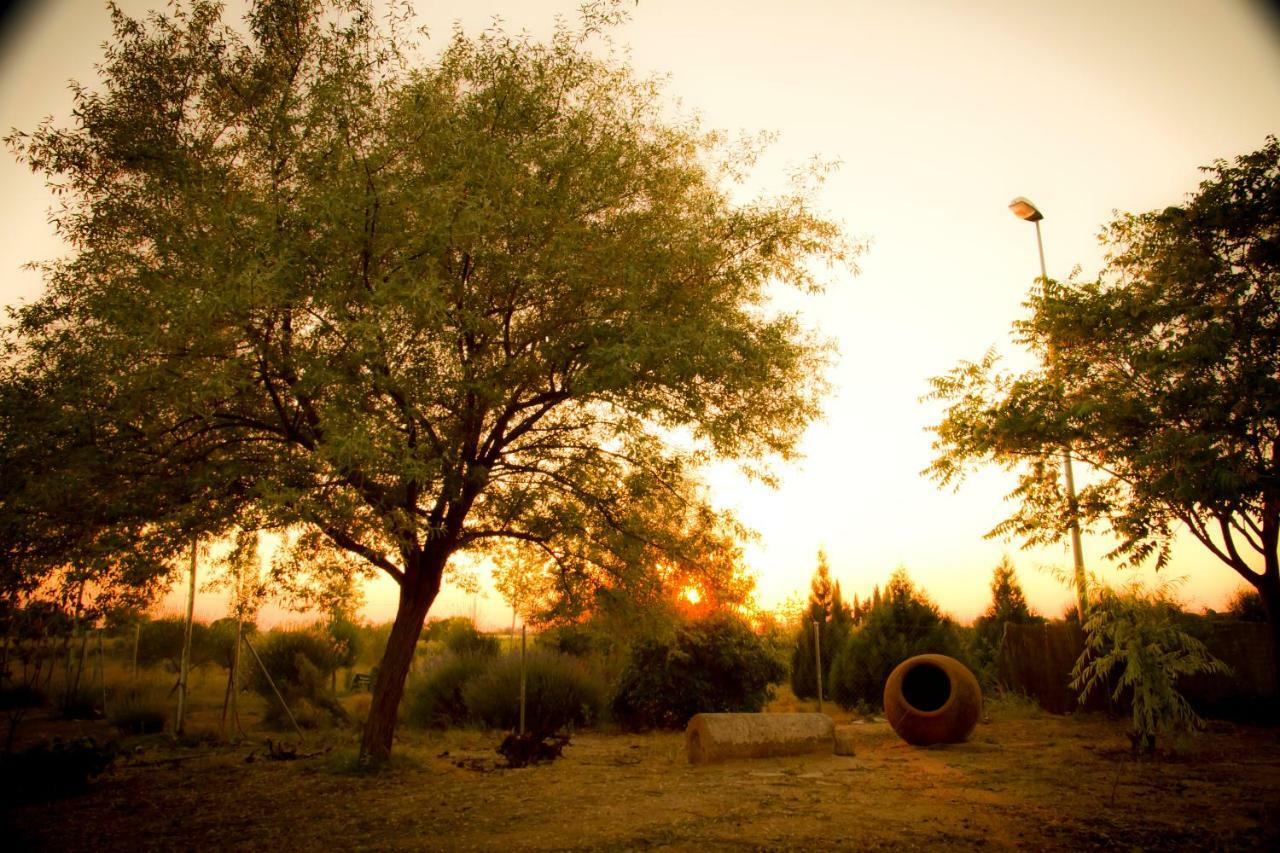 Candelas * Casas De Los Pinos